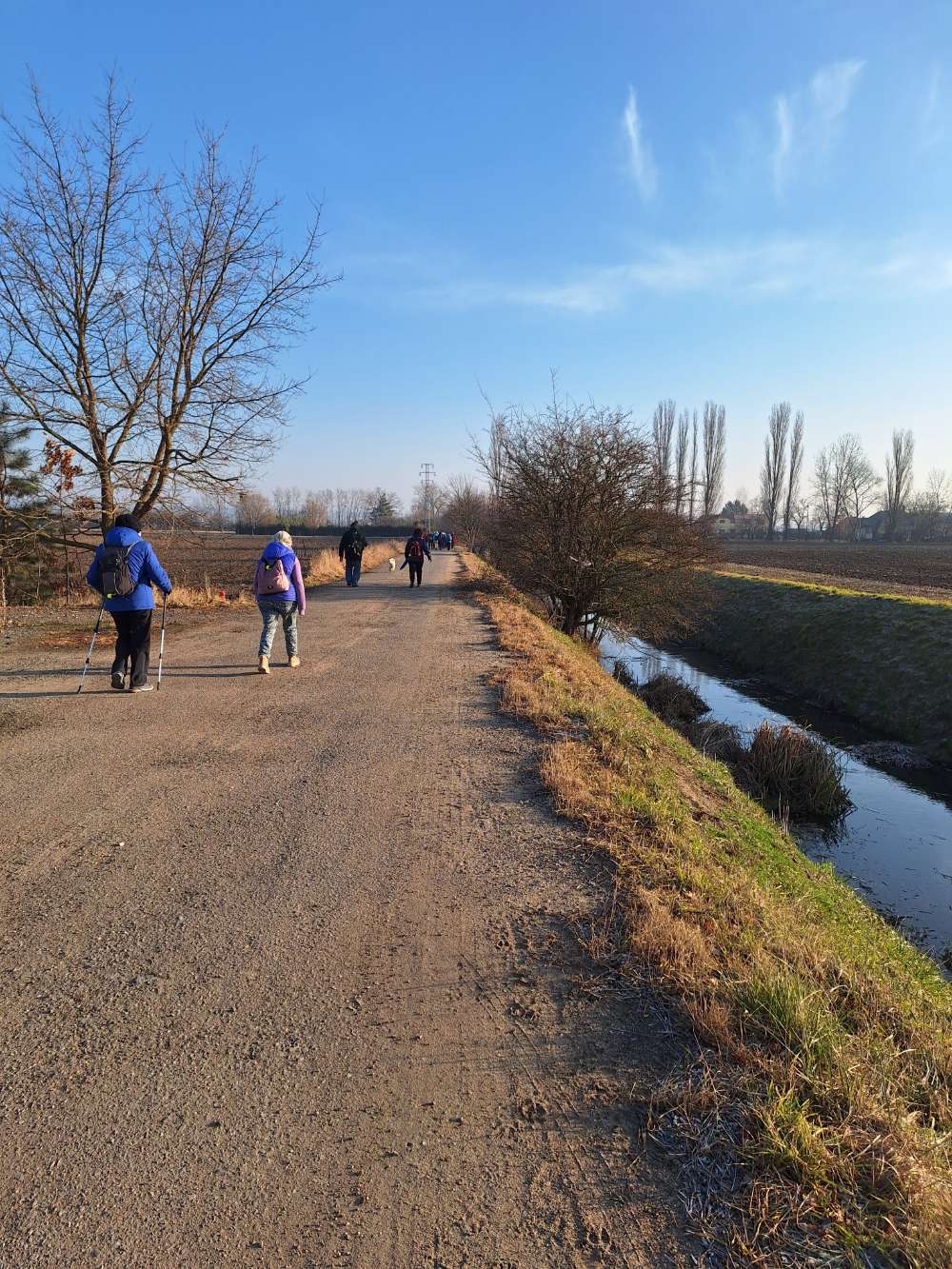 Cesta podél potoka