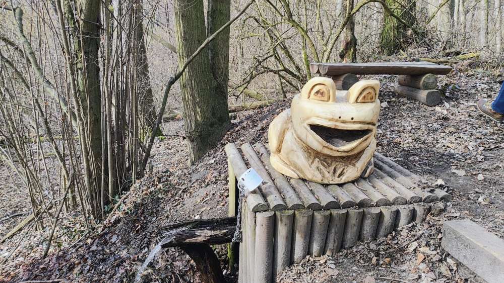 Žába na prameni