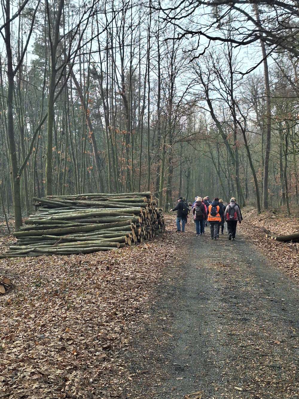 A stále kupředu!