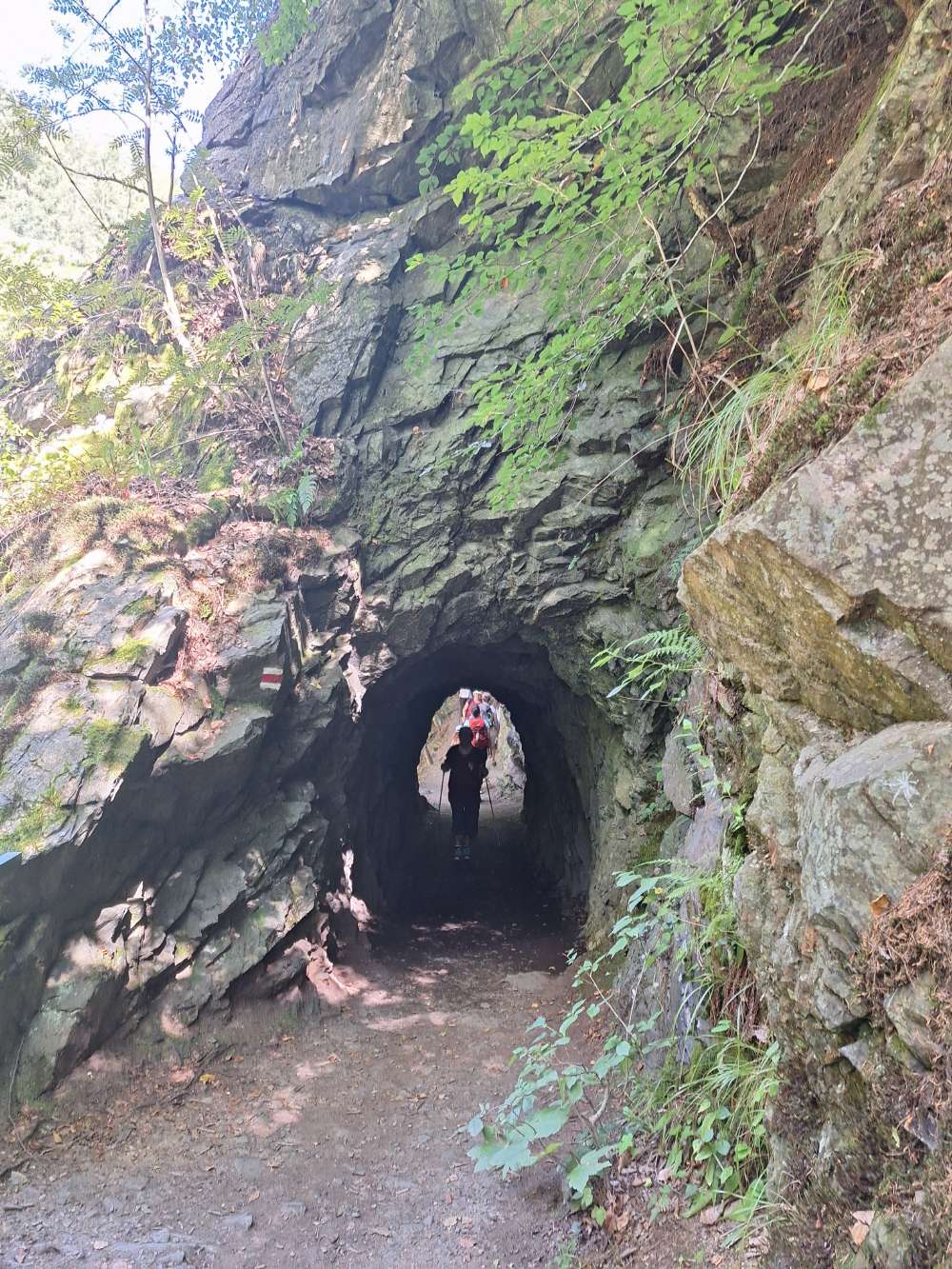 Tunel na Riegrově stezce