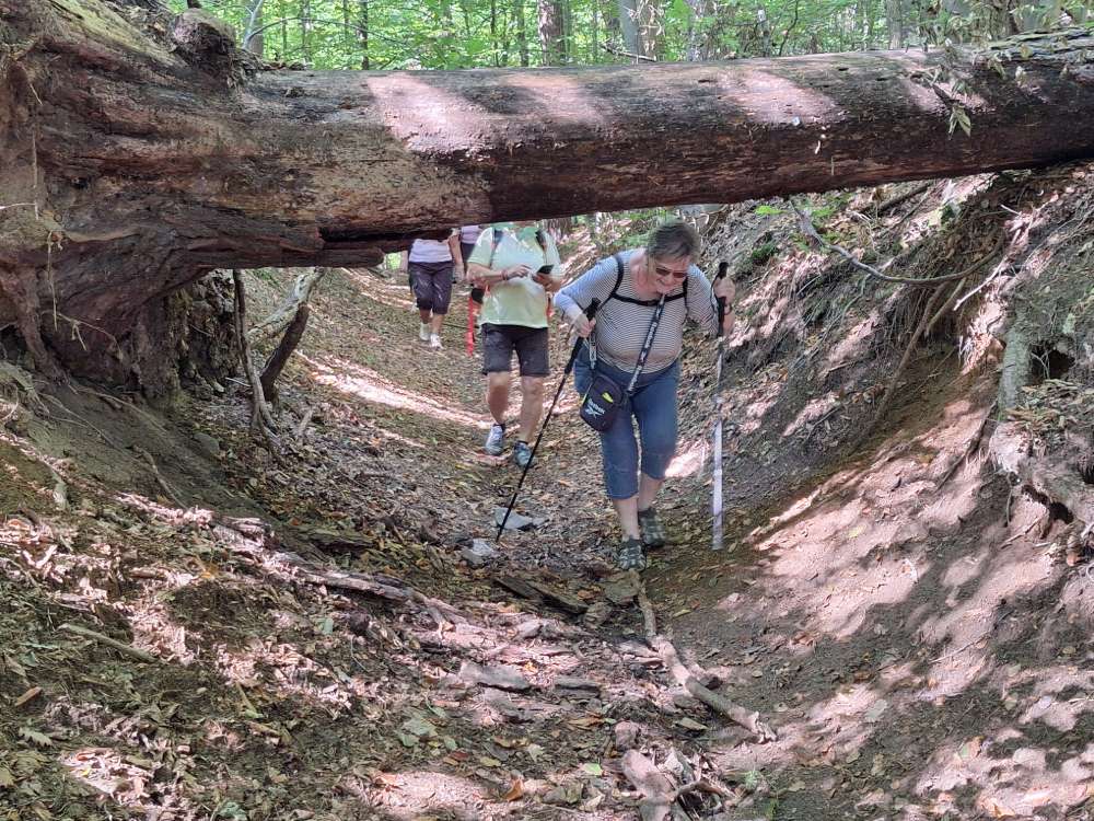 Nečekané překážky na trase
