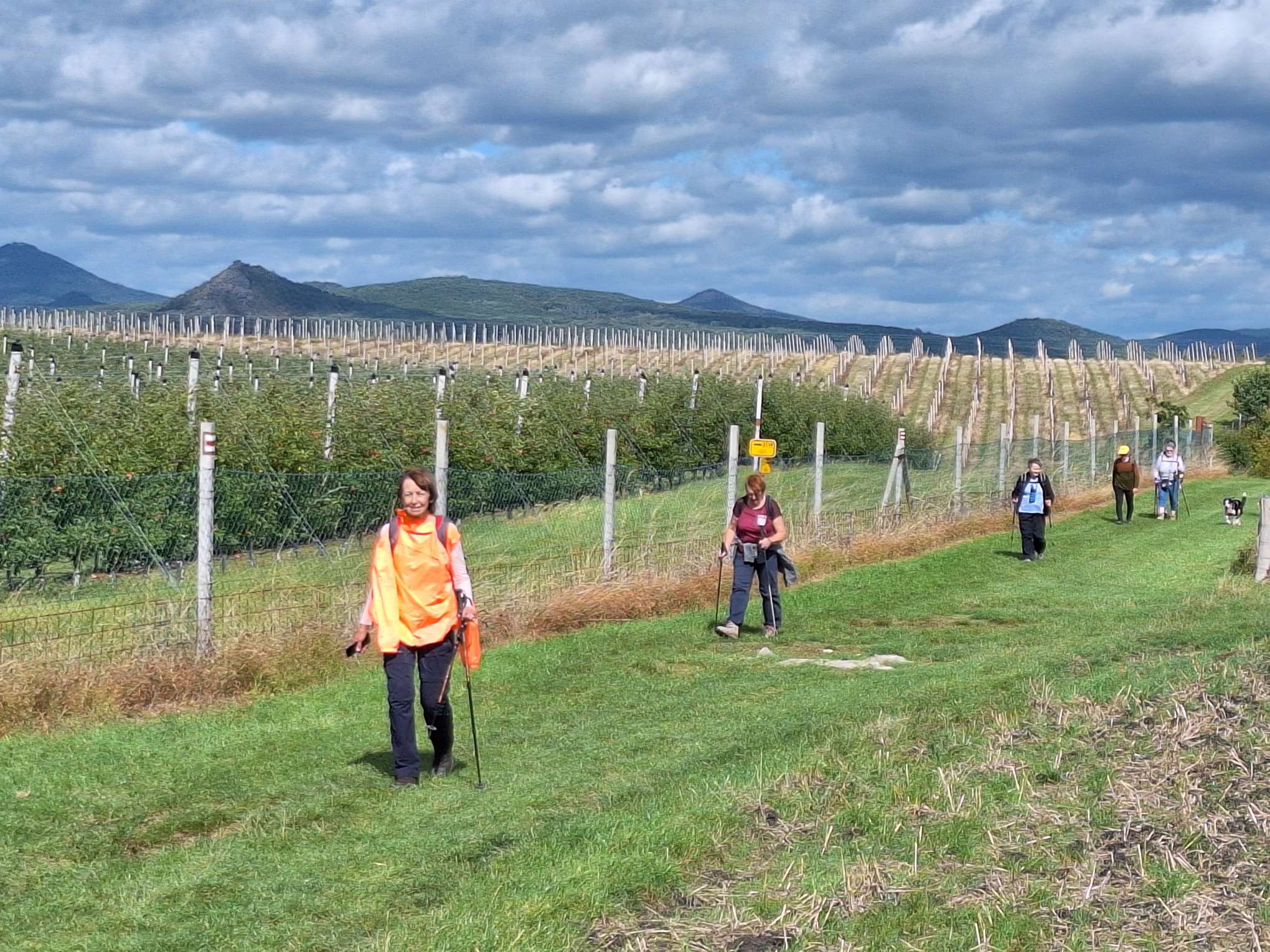Cesta vedla kolem ovocných sadů