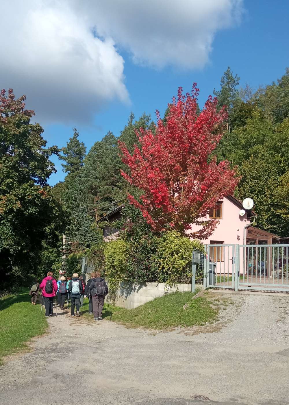 Podzim už barví stromy