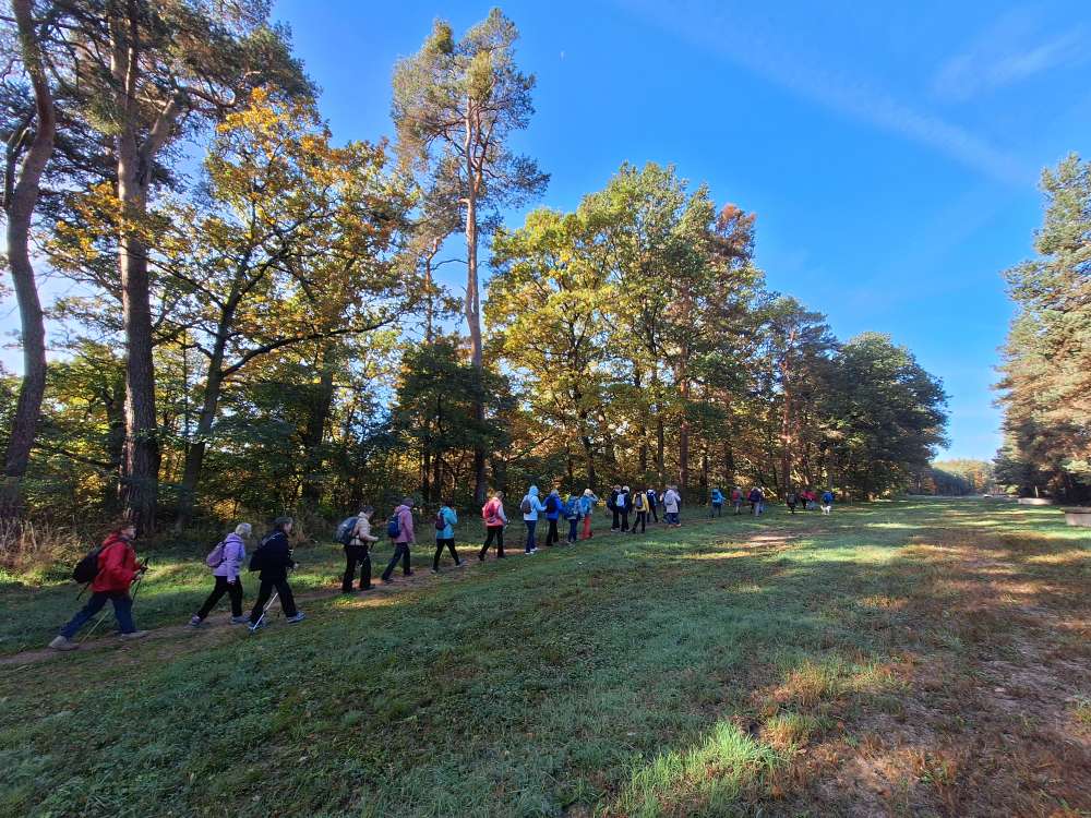 Trasa vedla kolem studní pro vodárnu