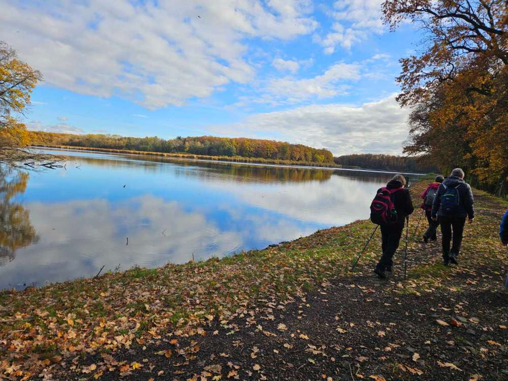 Část trasy vedla po břehu Bučického rybníka