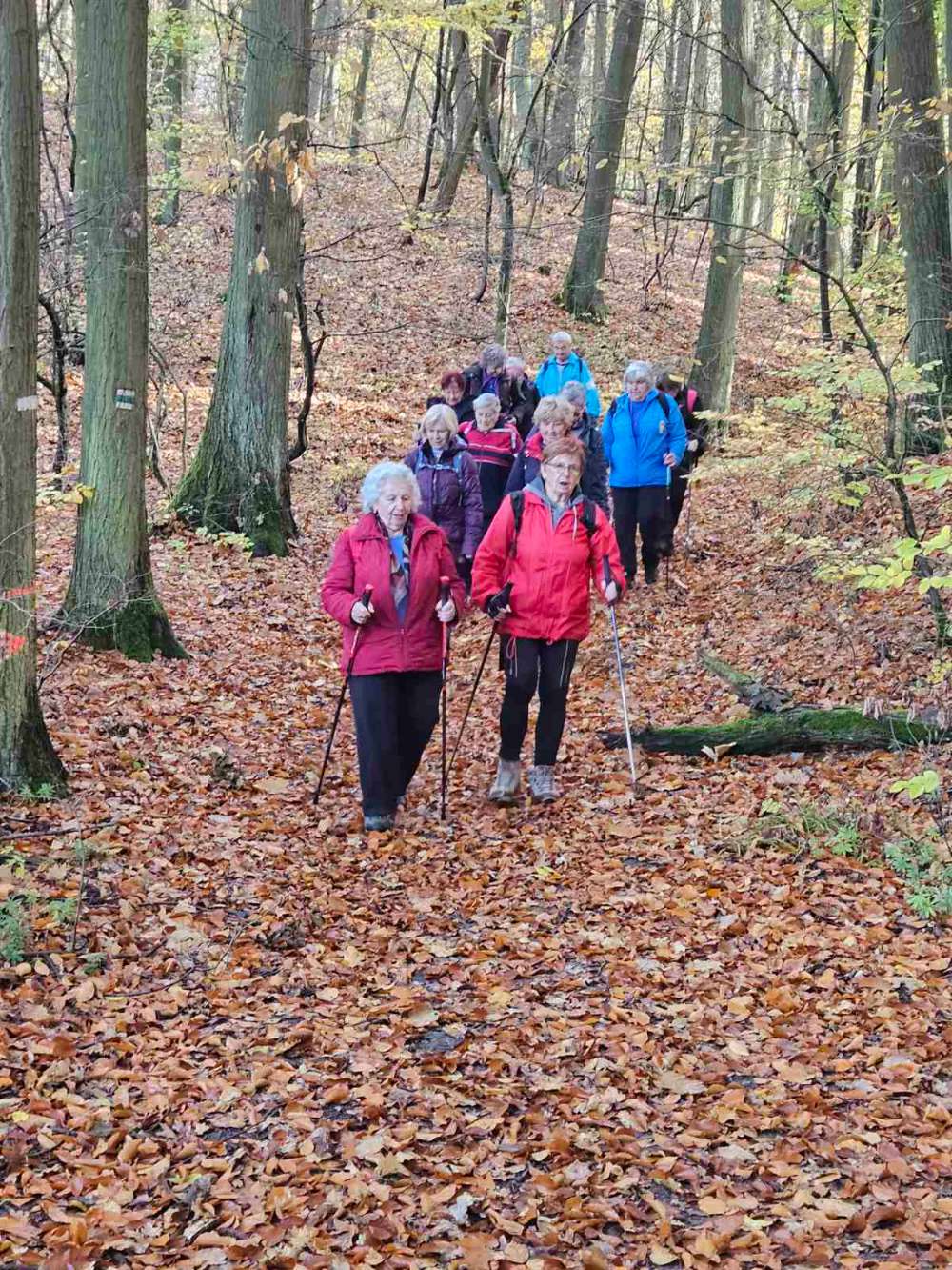 Příjemná podzimní procházka