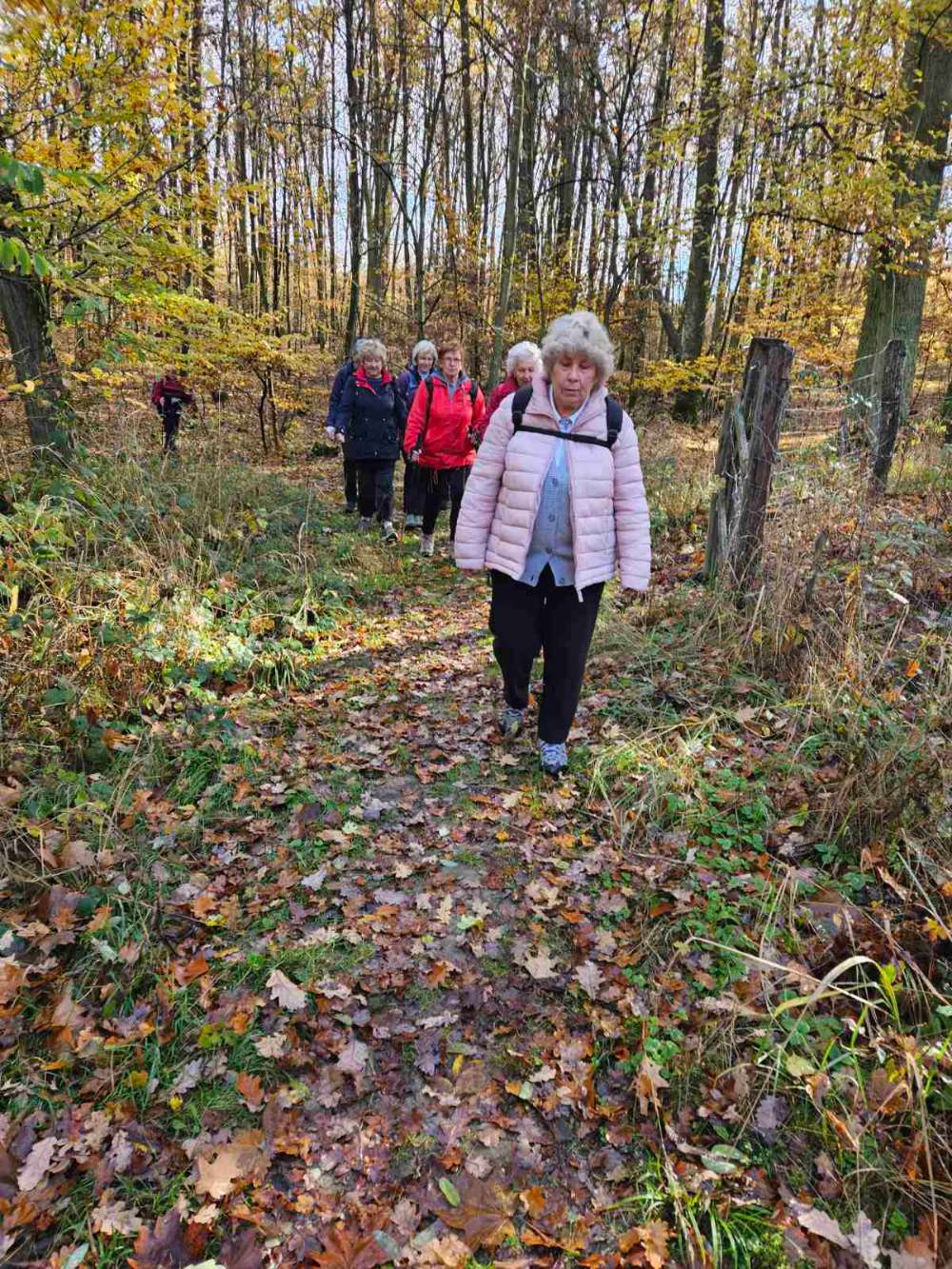 V lese bylo krásně!